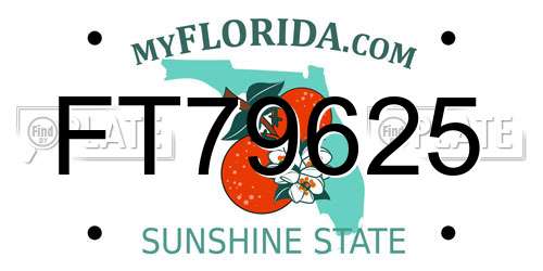 FT79625 Florida License Plate