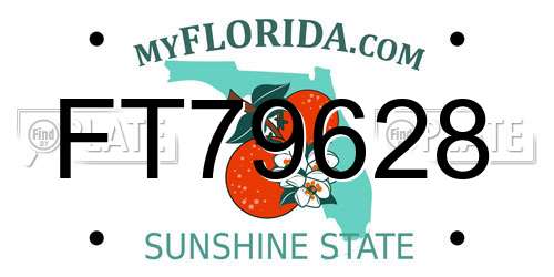 FT79628 Florida License Plate