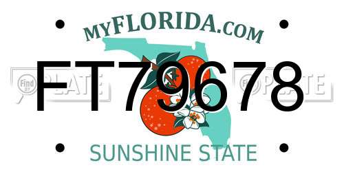 FT79678 Florida License Plate