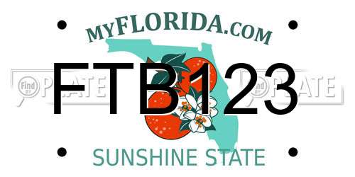 FTB123 Florida License Plate