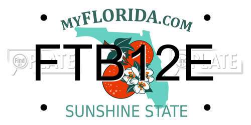 FTB12E Florida License Plate