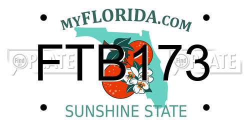 FTB173 Florida License Plate