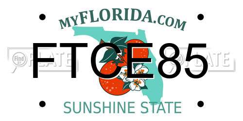 FTCE85 Florida License Plate