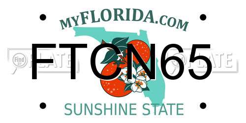 FTCN65 Florida License Plate