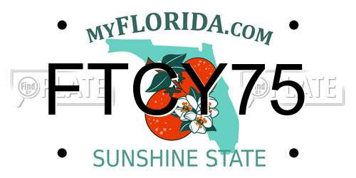 FTCY75 Florida License Plate