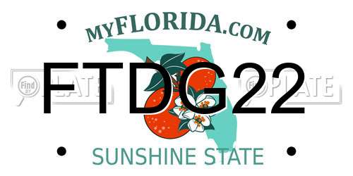 FTDG22 Florida License Plate
