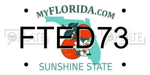 FTED73 Florida License Plate