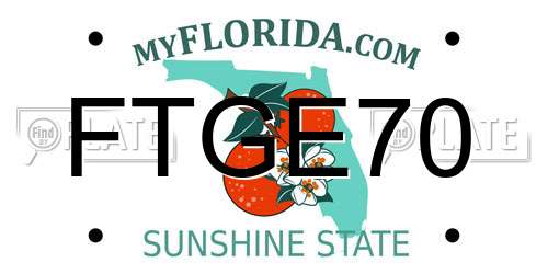 FTGE70 Florida License Plate