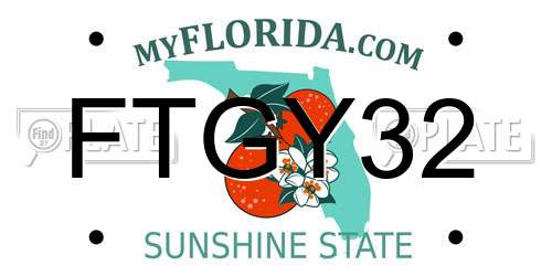 FTGY32 Florida License Plate