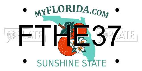 FTHE37 Florida License Plate