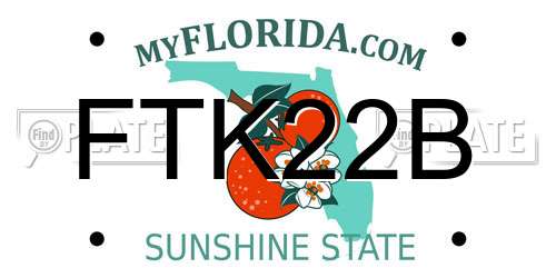 FTK22B Florida License Plate