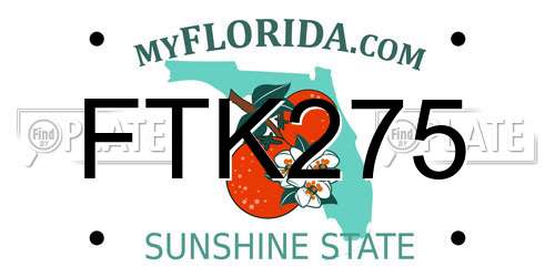 FTK275 Florida License Plate