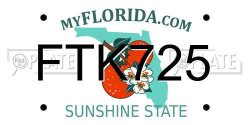FTK725 Florida License Plate