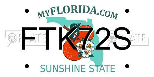 FTK72S Florida License Plate