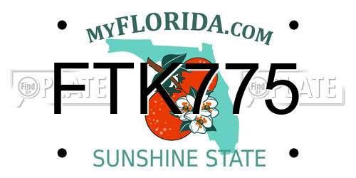 FTK775 Florida License Plate
