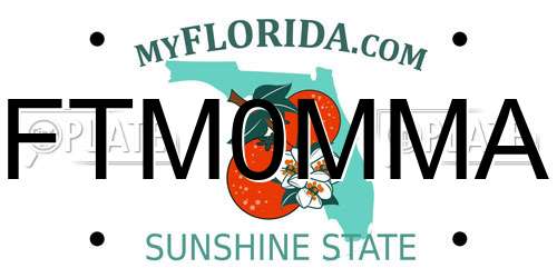 FTM0MMA Florida License Plate