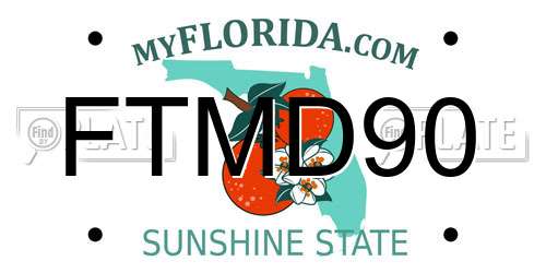 FTMD90 Florida License Plate