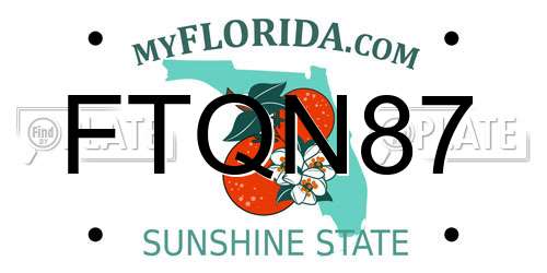 FTQN87 Florida License Plate