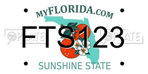 FTS123 Florida License Plate