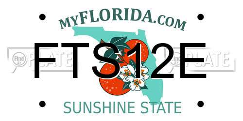 FTS12E Florida License Plate