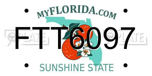 FTT6097 Florida License Plate