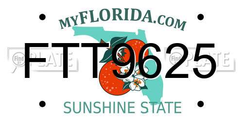 FTT9625 Florida License Plate