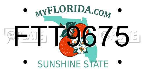 FTT9675 Florida License Plate