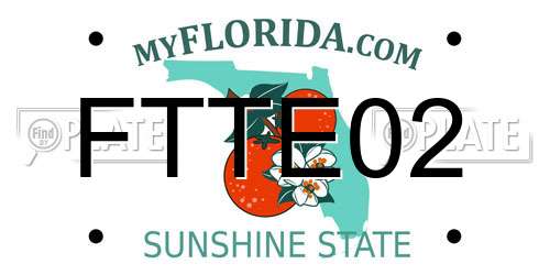 FTTE02 Florida License Plate
