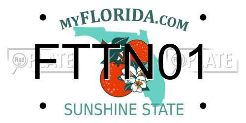 FTTN01 Florida License Plate