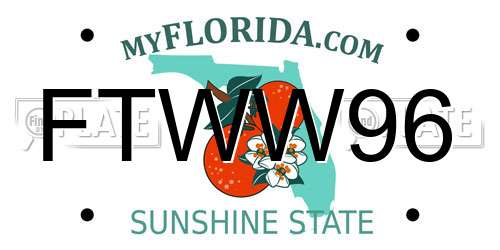 FTWW96 Florida License Plate