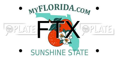 FTX Florida License Plate
