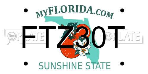 FTZ30T Florida License Plate