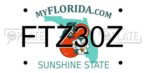 FTZ30Z Florida License Plate
