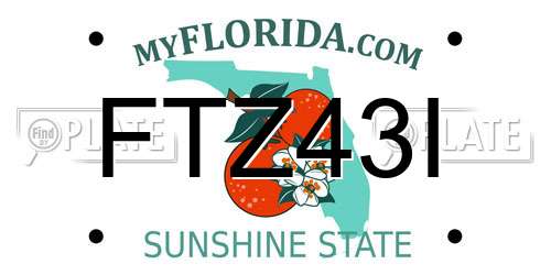 FTZ43I Florida License Plate