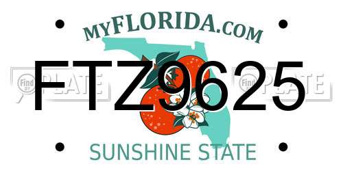 FTZ9625 Florida License Plate