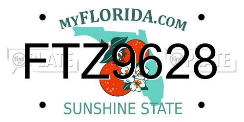 FTZ9628 Florida License Plate