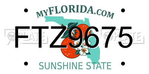 FTZ9675 Florida License Plate
