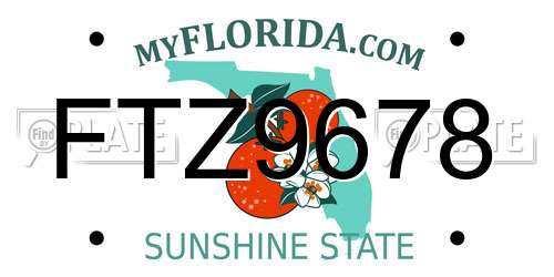 FTZ9678 Florida License Plate