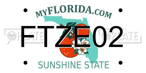 FTZE02 Florida License Plate
