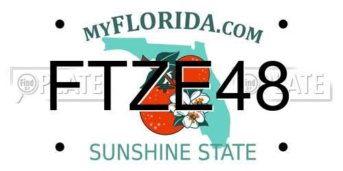 FTZE48 Florida License Plate