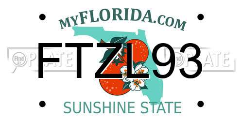 FTZL93 Florida License Plate