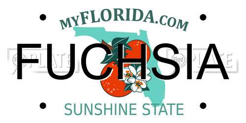 FUCHSIA Florida License Plate