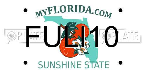 FULI10 Florida License Plate