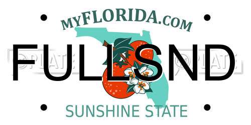 FULLSND Florida License Plate