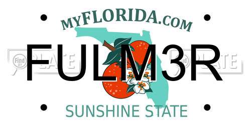 FULM3R Florida License Plate