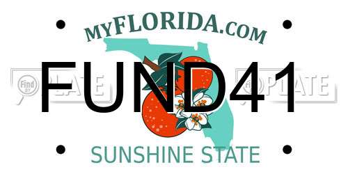 FUND41 Florida License Plate