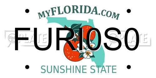 FURI0S0 Florida License Plate