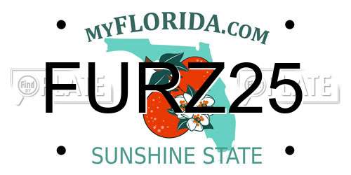 FURZ25 Florida License Plate