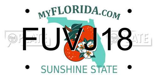 FUVJ18 Florida License Plate
