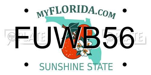 FUWB56 Florida License Plate